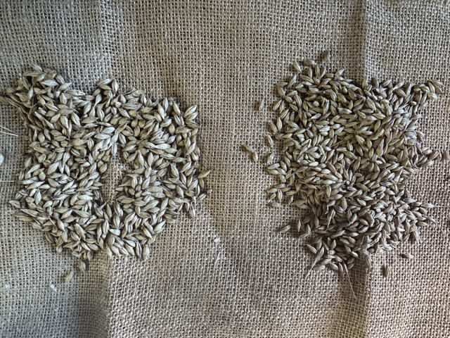 J&S Hay, Orkney’s biggest heritage Bere Barley growers and most northerly certified seed barley producers, invest in second McArthur BDC Mecmar drier to increase automated drying capacity