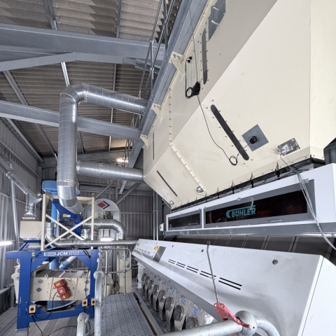 Ergot drives Waterton Hall Farm to install vibrating sieve cleaner and colour sorter