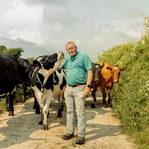 Award winning organic dairy farmers working alongside McArthur BDC to remove soya bean meal from rations. 