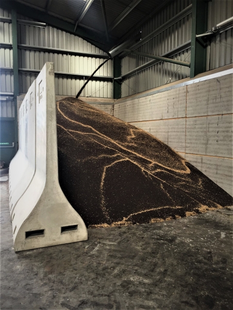 Concrete Bunker Walls​ 3