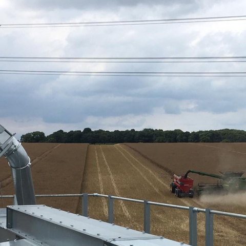 Belt and Bucket Elevators